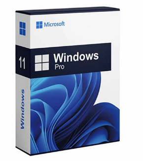 Windows 11 Professional — 1 PC Activation